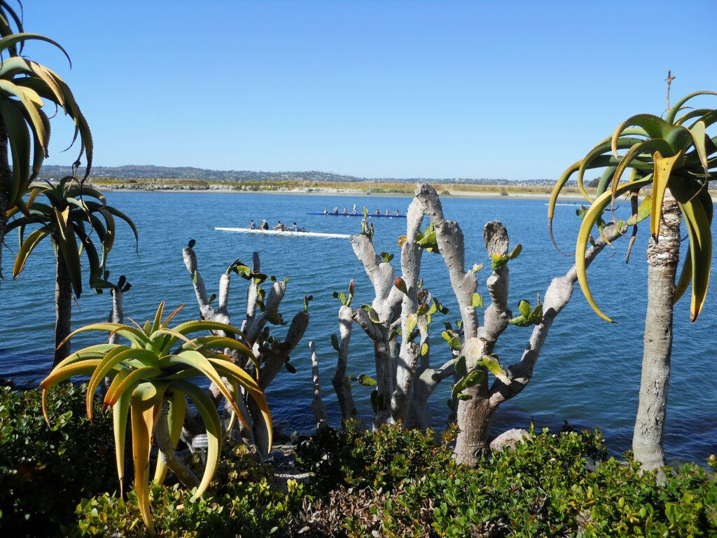 Fiesta Island- A Closer Look – San Diego Beach Secrets