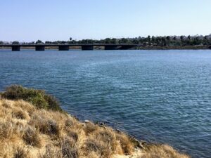 San Diego River East Water rocks plants