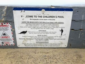 childrens pool info sign harbor seals