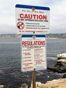 seal sea lion sign la jolla california sea lions