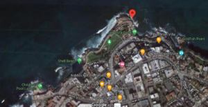 point la jolla map california sea lion rookery