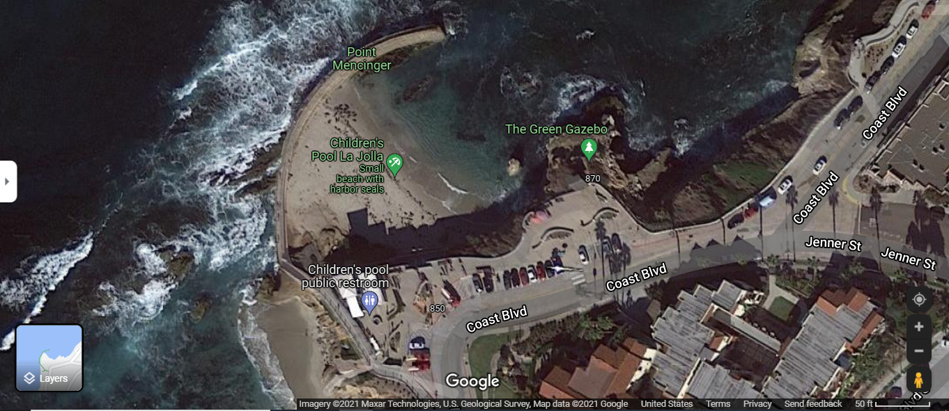 Checking out the La Jolla Harbor Seals – San Diego Beach Secrets