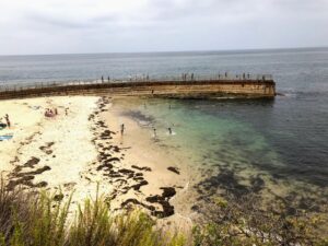 kids playing la jolla childrens pool sand ocean water