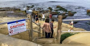 point la jolla stairs sea lion rookery