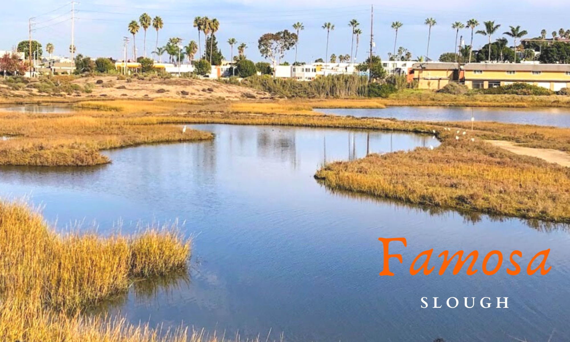 famosa slough featured image