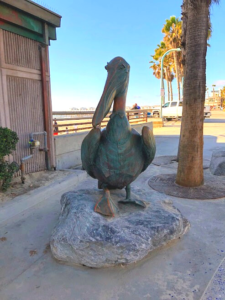 pelican statue pacific beach lifeguard headquarters