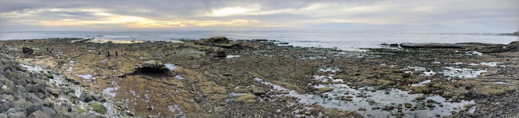 bird rock pano san diego tide pool beach