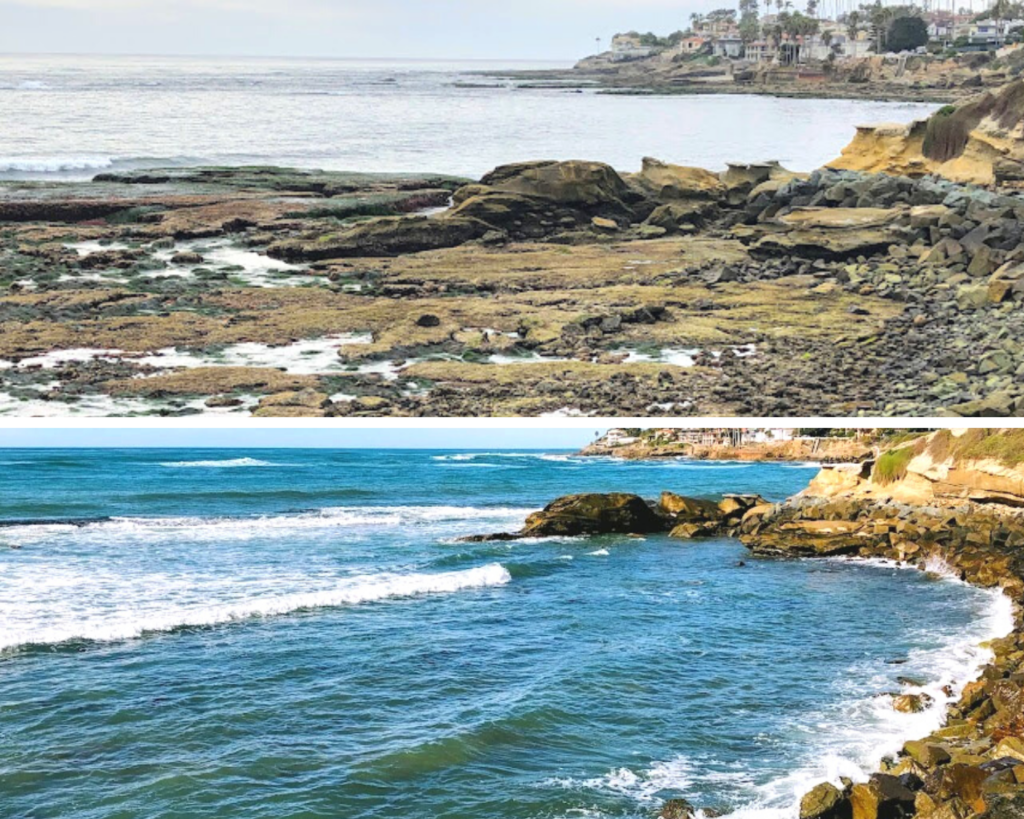 north bird rock south la jolla marine reserve