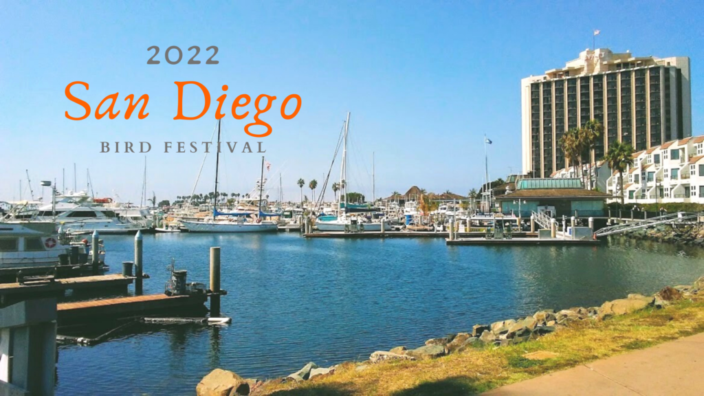 The San Diego Bird Festival 2022 San Diego Beach Secrets