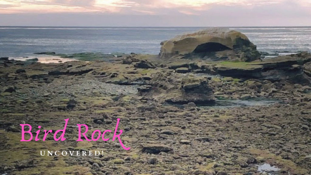 Bird Rock Beach, La Jolla Uncovered! San Diego Beach Secrets