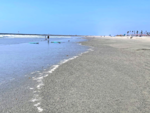 Oceanside Harbor Bean Clams beach low tide