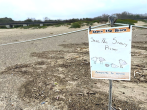 Trestles snowy plover sign san onofre