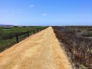 tijuana estuary trail saltmarsh blue sky