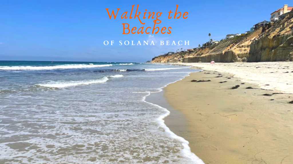 Walking the Beaches of Solana Beach San Diego Beach Secrets