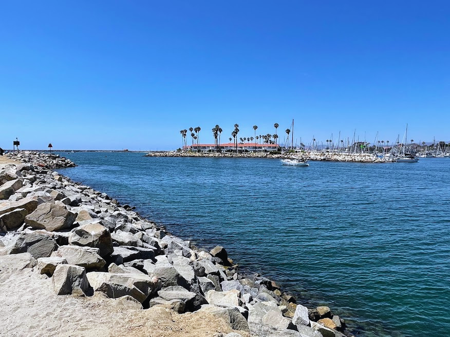 Oceanside Harbor inlet sailboat palm trees water