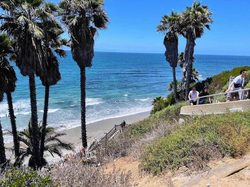 Swamis july 4 stairs palm trees ocean