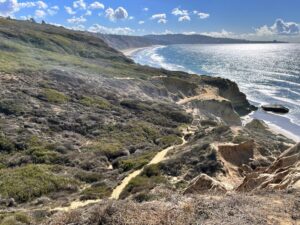 beach trail Torrey Pines State Natural Reserve