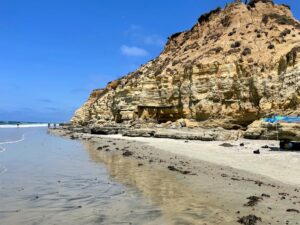 bluffs del mar summer 2022 year in review