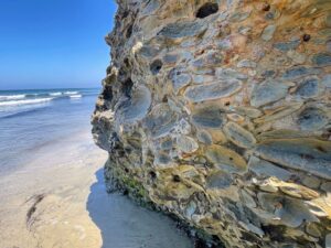 fossil rock scripps beach la jolla