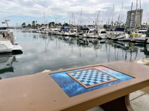 harbor checkerboard 2022 year in review