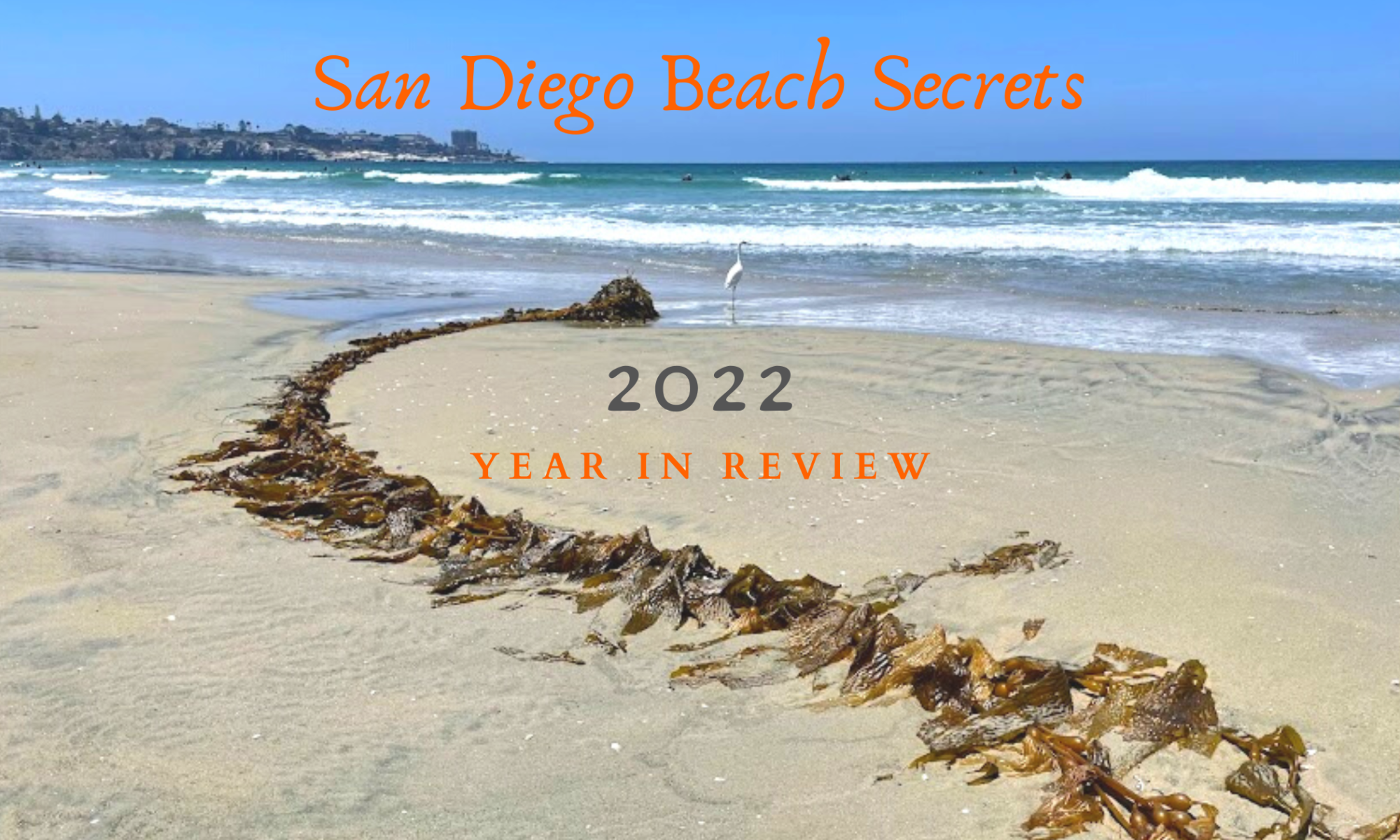 2022 review image san diego beach secrets