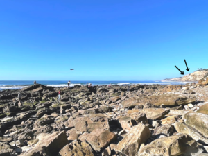 la jolla helicopter blacks beach cliff collapse