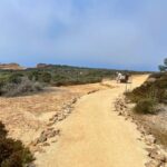 South Fork mid trail bench